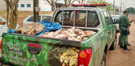 TOCANTINS INSTITUI COTA ZERO PARA TRANSPORTE DE PESCADO