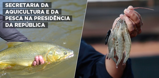 SECRETARIA ESPECIAL DA AQUICULTURA E DA PESCA É TRANSFERIDA PARA SECRETARIA-GERAL DA PRESIDÊNCIA DA REPÚBLICA