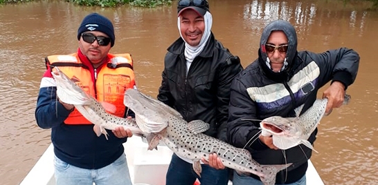 PARTICIPANTES DO BRASILEIRO EM PESQUEIROS PESCAM NA ARGENTINA