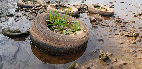 APERP PROMOVE 5º ARRASTÃO ECOLÓGICO NO RIO PIRACICABA