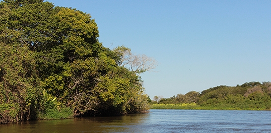 MINISTÉRIO DO MEIO AMBIENTE OFERECE NOVE CURSOS A DISTÂNCIA