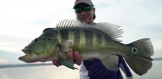 TORNEIO DE PESCA MOVIMENTA O LAGO PARANOÁ NO FIM DE SEMANA