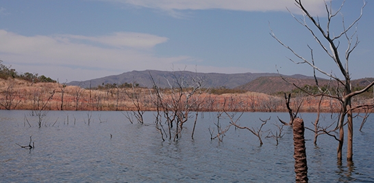 É LANÇADO PROJETO SOBRE SERRA DA MESA NAS ESCOLAS