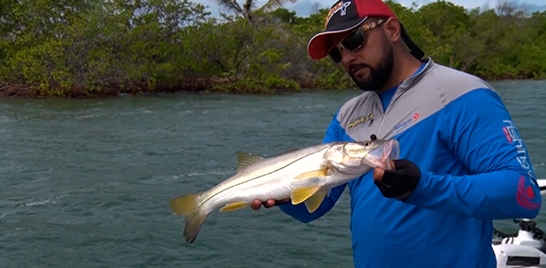 HOJE ESTREIA A NOVA TEMPORADA DO PURA PESCA