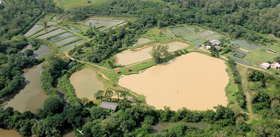 GRUPO PRAZER EM PESCAR PROMOVE PESCA SOLIDÁRIA