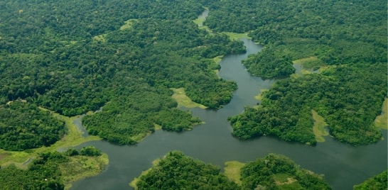Garimpo acelera desmatamento na América Latina