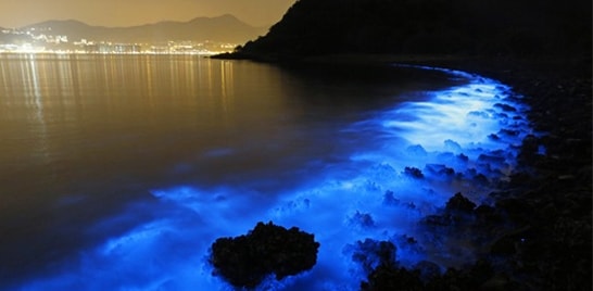 Manchas fluorescentes surgem misteriosamente no mar em Hong Kong