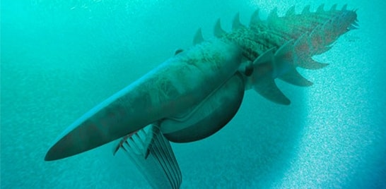 Descoberta criatura marinha que viveu há 480 milhões de anos