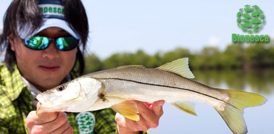 Novos episódios do Biopesca a partir de segunda-feira