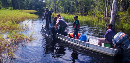 Pesquisadores estudam biodiversidade de peixes no rio Jutaí