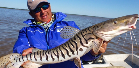 Recanto da pesca esportiva às margens de um dos maiores rios da América do Sul