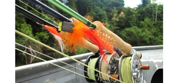 Dica de Pesca: Saiba mais sobre o leader para fly fishing