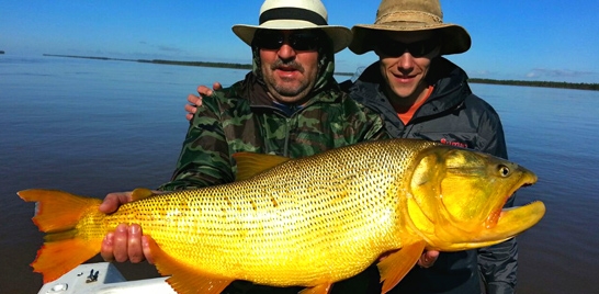 A preservada natureza do pantanal argentino