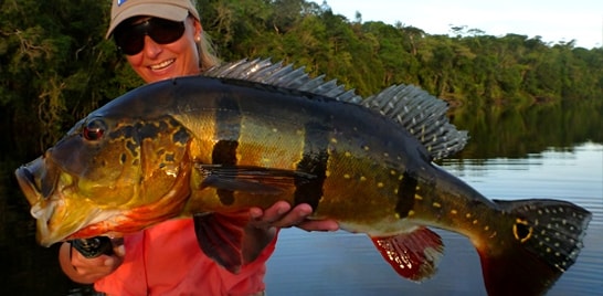 Campeonato Brasileiro e Mundial de pesca esportiva no Brasil