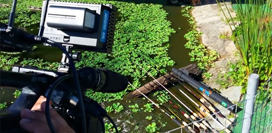 Fish TV leva Projeto Lojas para Santa Catarina