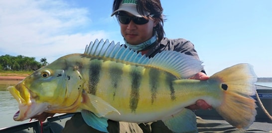 Presidente Epitácio sedia 2º Torneio Nacional de Pesca Amadora Esportiva