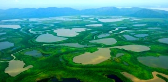12 de novembro Dia do Pantanal