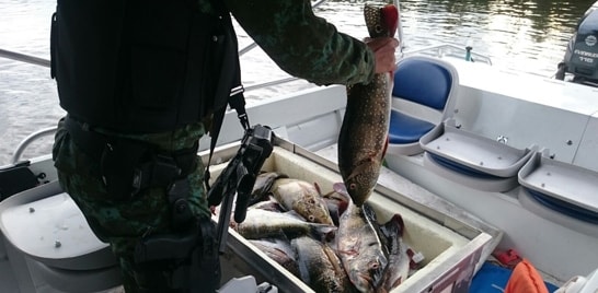 Polícia militar e IPAAM apreende pescado ilegal na zona rural de Manaus, durante fiscalização ambiental