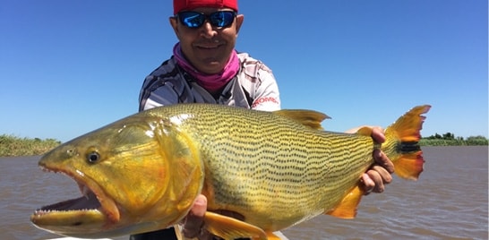 Está chegando a 5ª Temporada do Momento da Pesca