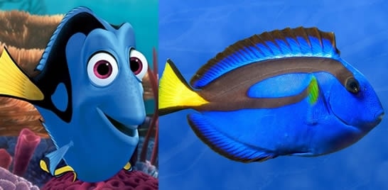 Procurando Dory e o dilema da preservação