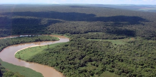 Soltura de Alevinos em Mogi Guaçu dia 05 de junho