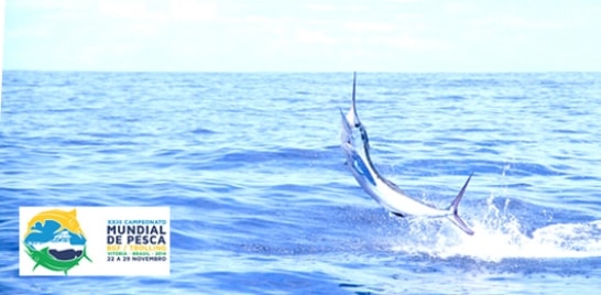 Mundial de Pesca Oceânica em Vitória no Espírito Santo