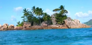 Ilhas Seychelles pedem ajuda contra risco de extinção