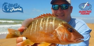 Albatroz Fishing e Mar e Praia