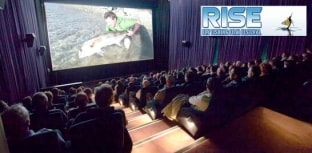 Argentina recebe festival de filmes de fly