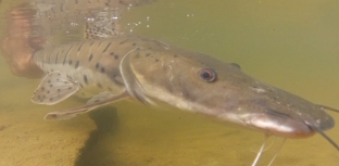 1º Workshop para desenvolvimento do turismo de pesca esportiva