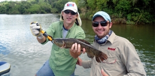 Paraná recebe o 13º Campeonato de Pesca Esportiva à Traíra