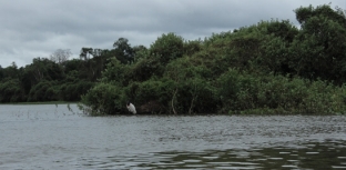 Um alerta! Rio Cuiabá registra redução de peixes