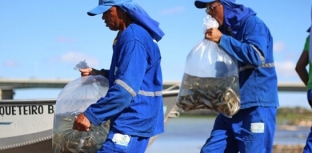 Preservação ambiental no Rio São Francisco