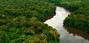 NOVAS REGRAS PARA PESCA ESPORTIVA SUSTENTÁVEL NA AMAZÔNIA