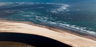 LEI DO MAR: PROTEÇÃO DA BIODIVERSIDADE