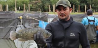 Santa Fé promove Festa do Peixe