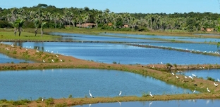 SEBRAE REALIZA SEMINÁRIO DE AQUICULTURA NO PIAUÍ