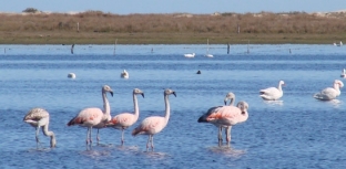 PARQUE LAGOA DO PEIXE PROMOVE SEMANA DA ÁGUA EM MOSTARDAS