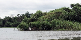 CÁCERES REALIZA MUTIRÃO DE LIMPEZA DO RIO PARAGUAI