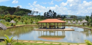 PARAÍSO VERDE É PALCO DO CAMPEONATO GOIANO EM PESQUEIROS