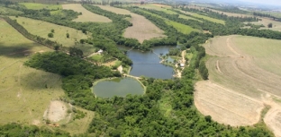 PARQUE MAEDA RECEBE CAMPEONATO PAULISTA EM PESQUEIROS