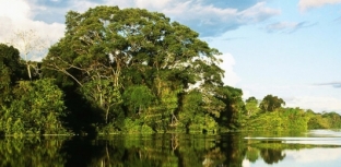 5 CURIOSIDADES SOBRE A AMAZÔNIA, ALÉM DA PESCA ESPORTIVA