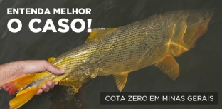 PROJETO DA COTA ZERO EM MINAS GERAIS VAI PARA VOTAÇÃO EM SEGUNDO TURNO