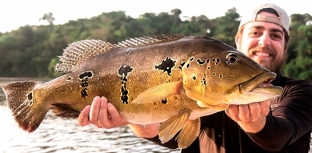 Amazônia no Pará: um patrimônio natural de pesca inexplorado