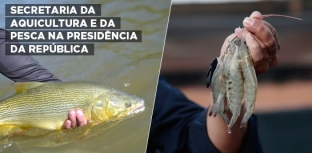 SECRETARIA ESPECIAL DA AQUICULTURA E DA PESCA É TRANSFERIDA PARA SECRETARIA-GERAL DA PRESIDÊNCIA DA 