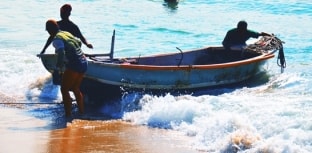 MPA faz ações para melhorar a gestão pesqueira no Brasil