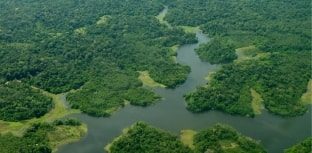 Garimpo acelera desmatamento na América Latina