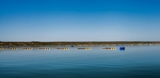 Levantamento aponta capacidade de peixes em viveiros