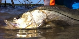 ABAPE elabora petição e denuncia pesca predatória no extremo sul da Bahia