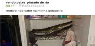 Pesca Predatória: postou no Face e foi preso